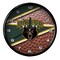 The Memory Company 11.5" Green and Brown NCAA Baylor Bears Wall Clock